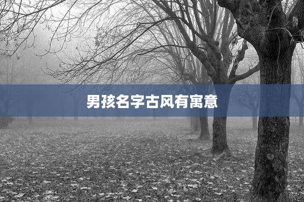 男孩名字古风有寓意