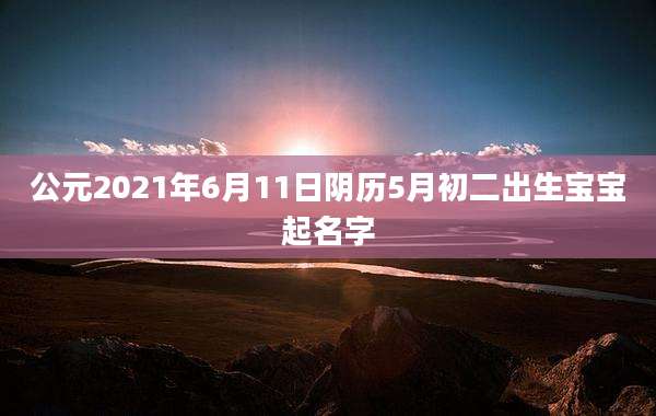 公元2021年6月11日阴历5月初二出生宝宝起名字