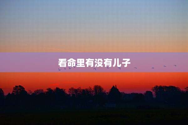 看命里有没有儿子