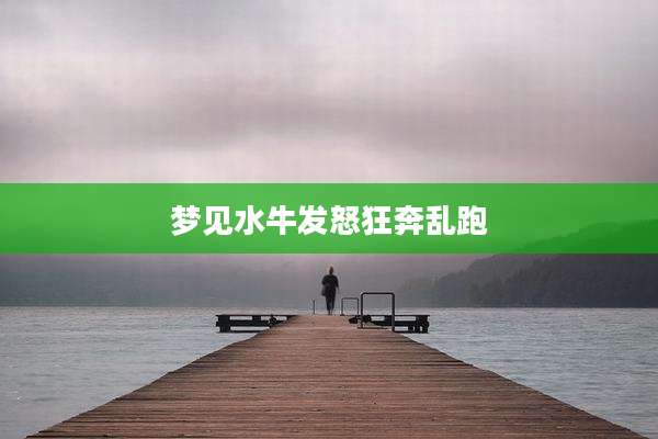 梦见水牛发怒狂奔乱跑