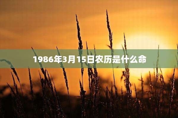 1986年3月15日农历是什么命