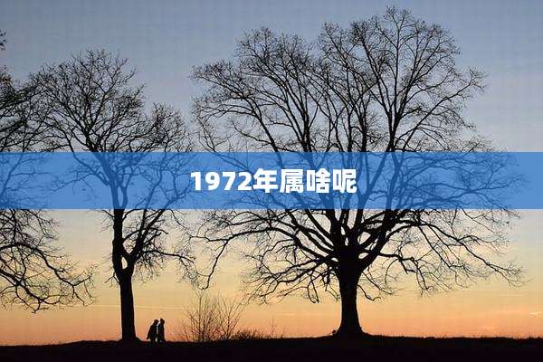 1972年属啥呢