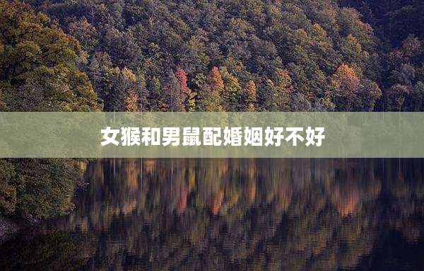 女猴和男鼠配婚姻好不好