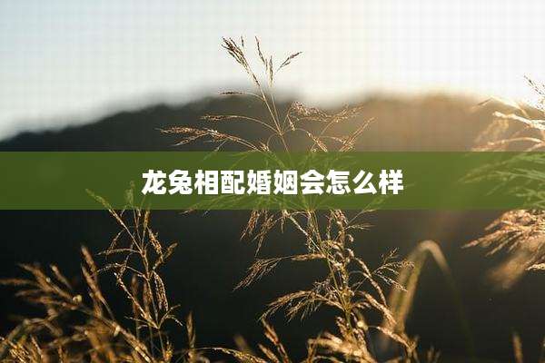 龙兔相配婚姻会怎么样