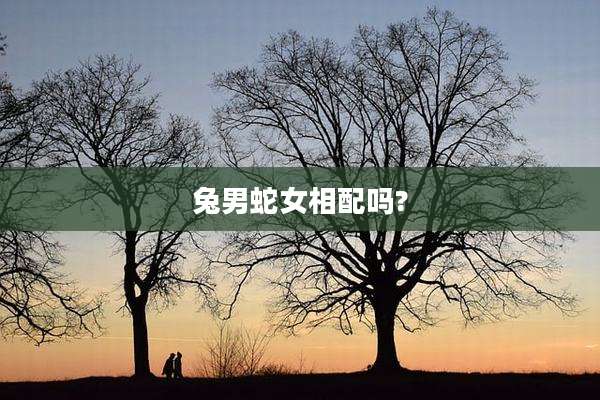 兔男蛇女相配吗?