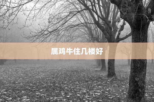 属鸡牛住几楼好