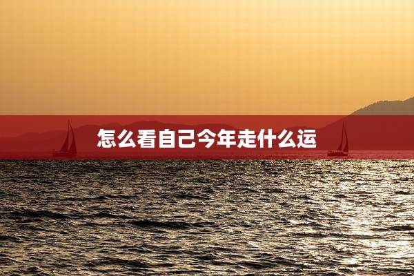 怎么看自己今年走什么运