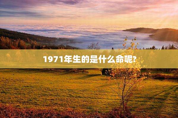 1971年生的是什么命呢?