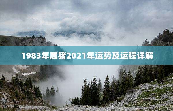1983年属猪2021年运势及运程详解