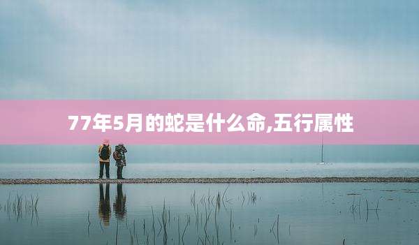 77年5月的蛇是什么命,五行属性