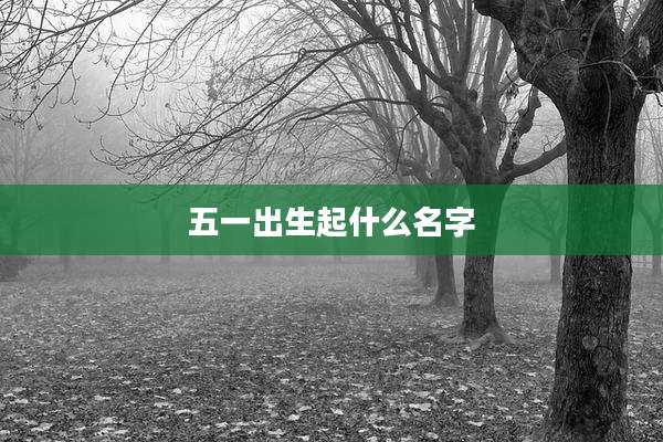 五一出生起什么名字