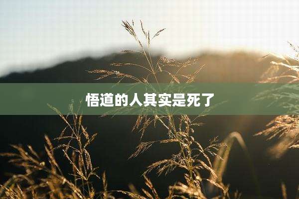 悟道的人其实是死了