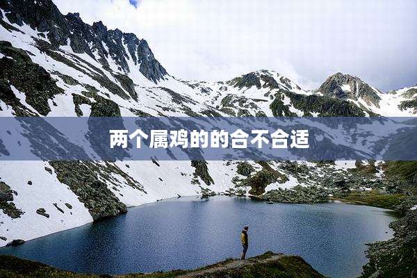 两个属鸡的的合不合适