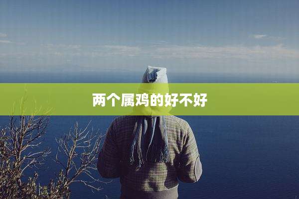两个属鸡的好不好