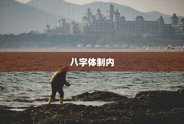 八字体制内