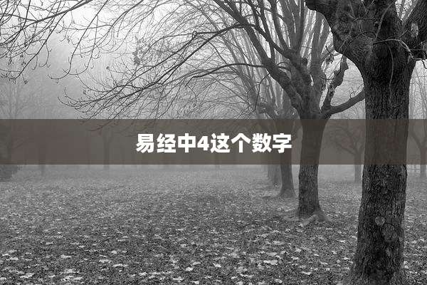易经中4这个数字
