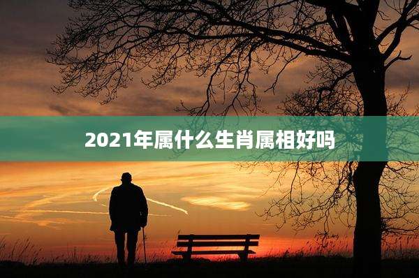2021年属什么生肖属相好吗