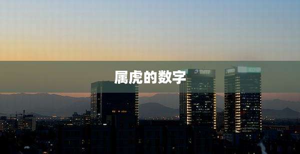 属虎的数字