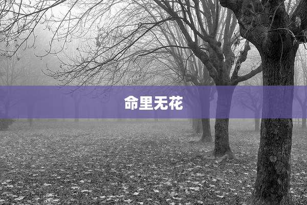 命里无花