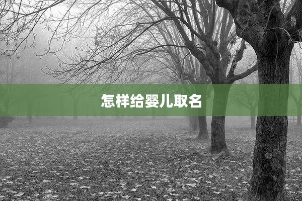 怎样给婴儿取名