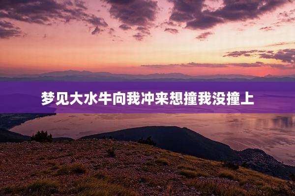 梦见大水牛向我冲来想撞我没撞上