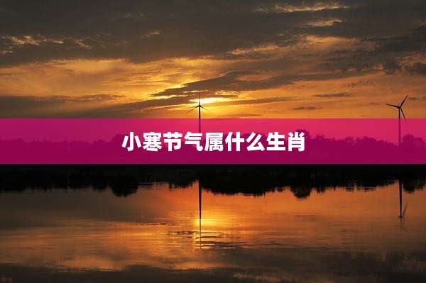 小寒节气属什么生肖