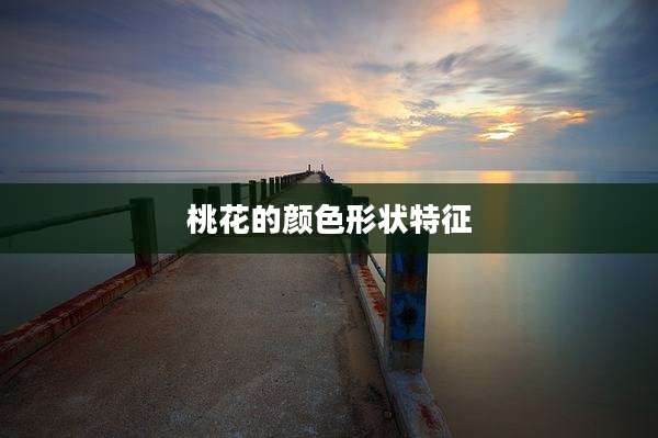 桃花的颜色形状特征