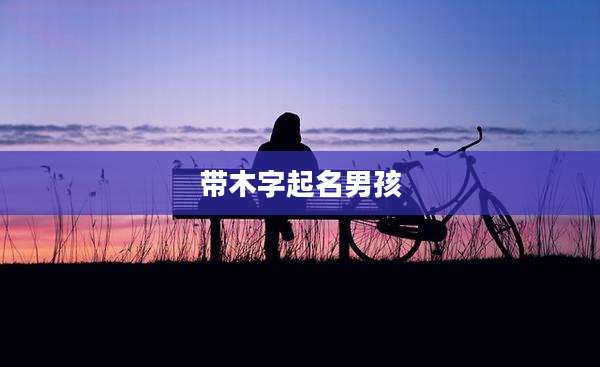 带木字起名男孩