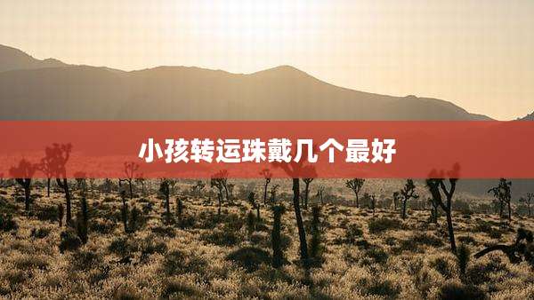 小孩转运珠戴几个最好
