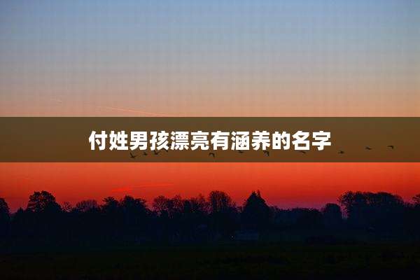 付姓男孩漂亮有涵养的名字