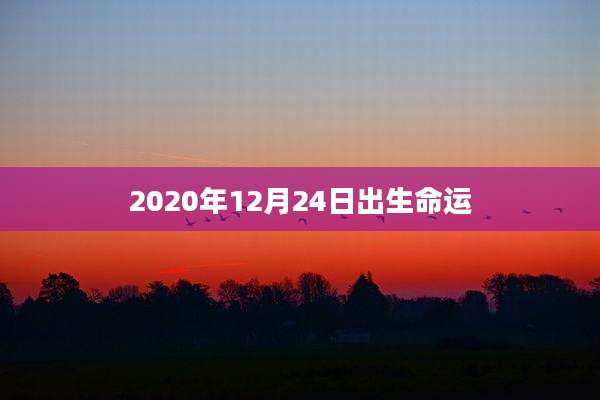2020年12月24日出生命运