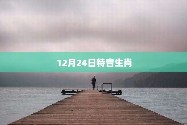 12月24日特吉生肖