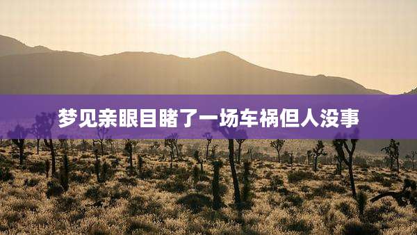 梦见亲眼目睹了一场车祸但人没事