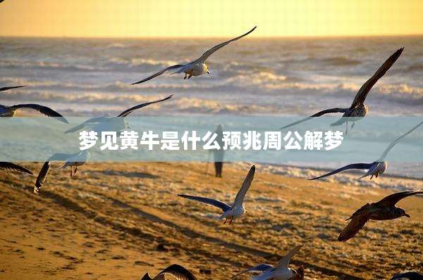 梦见黄牛是什么预兆周公解梦
