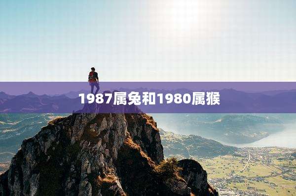 1987属兔和1980属猴
