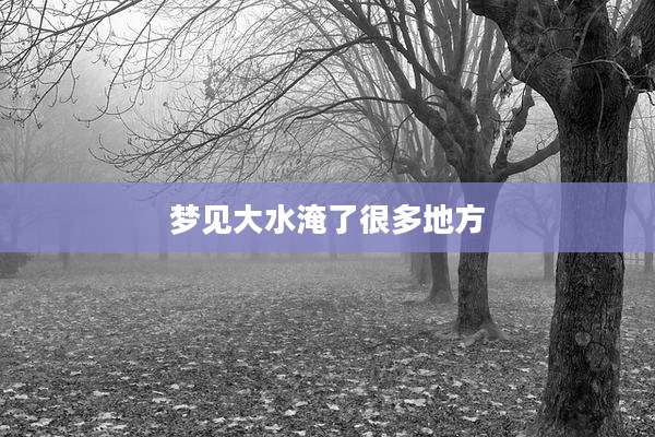 梦见大水淹了很多地方