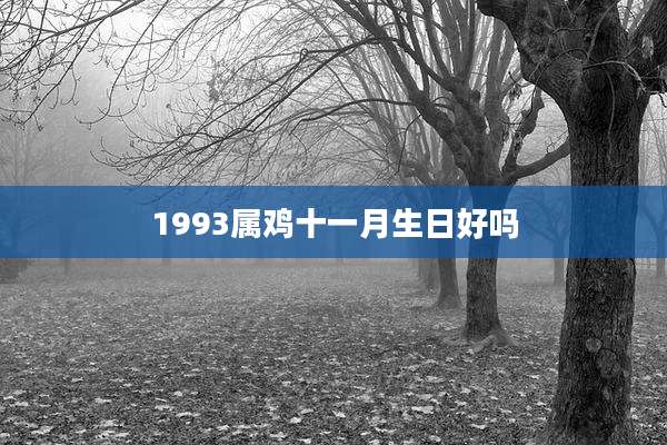 1993属鸡十一月生日好吗