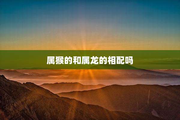 属猴的和属龙的相配吗