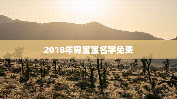 2018年男宝宝名字免费