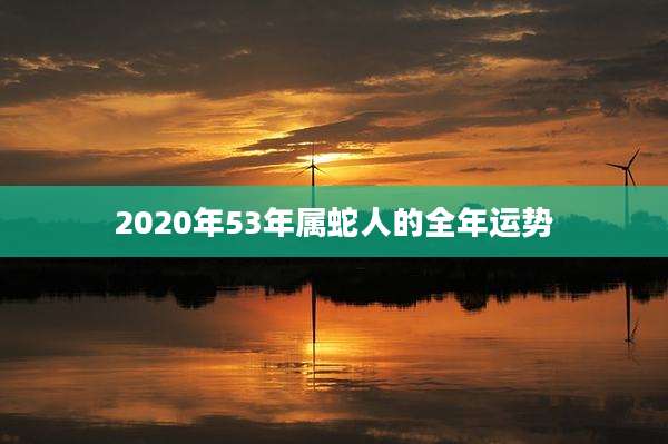 2020年53年属蛇人的全年运势