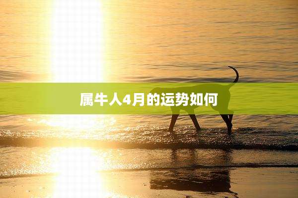 属牛人4月的运势如何