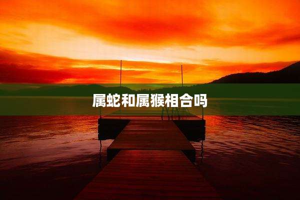 属蛇和属猴相合吗
