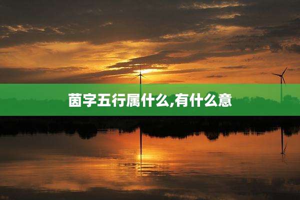 茵字五行属什么,有什么意