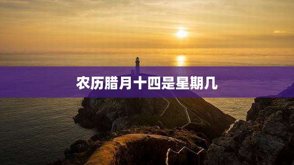 农历腊月十四是星期几