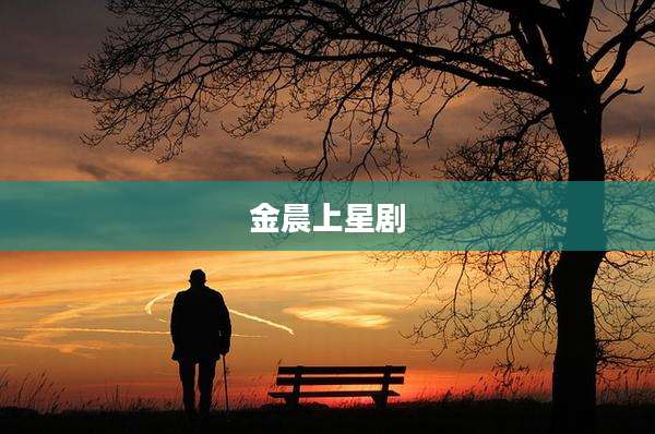 金晨上星剧