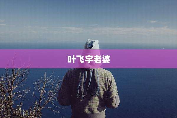 叶飞宇老婆