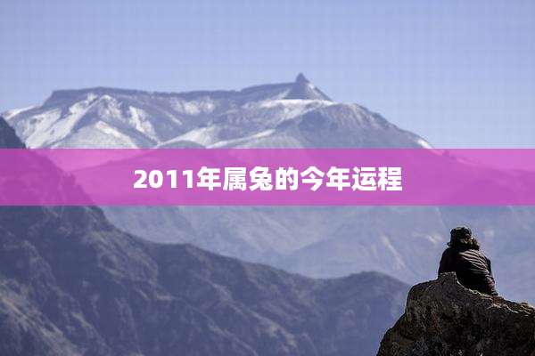 2011年属兔的今年运程