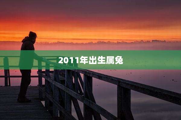 2011年出生属兔