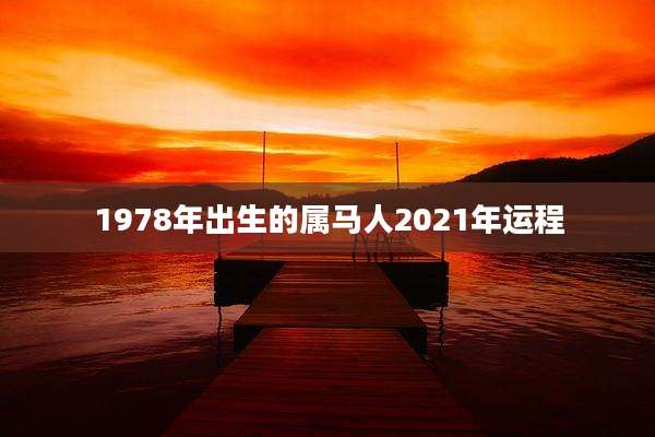 1978年出生的属马人2021年运程