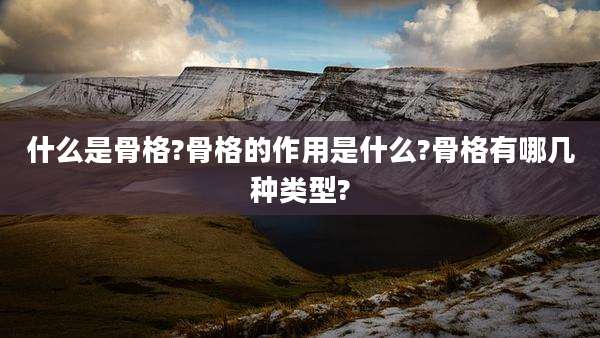 什么是骨格?骨格的作用是什么?骨格有哪几种类型?